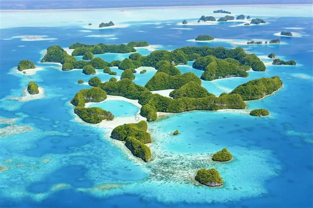 紫洁梁永久院长,请问这位怎么样?-探讨和分享的红迪网社区